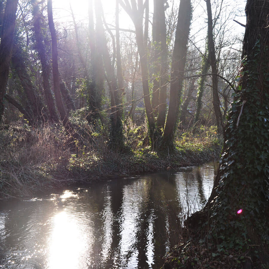 January Scene